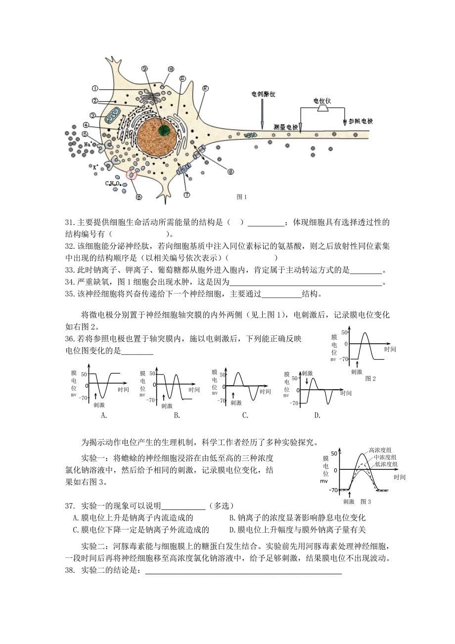 上海市静安区2015届高三生物上学期期末教学质量检测（一模）试题_第5页