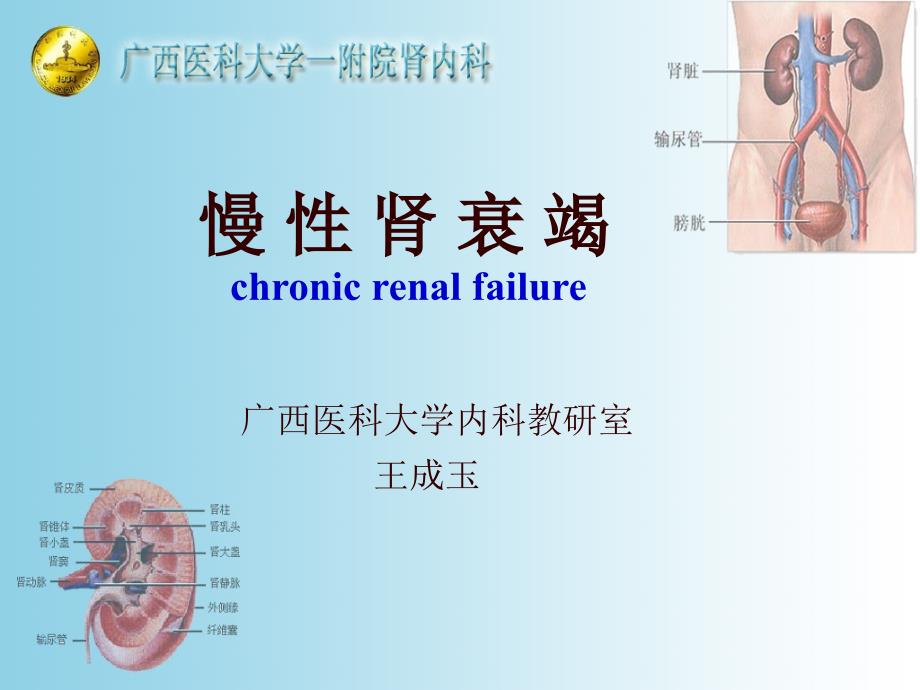 课件：泌尿系统教学资料 慢性肾功能衰竭_第1页