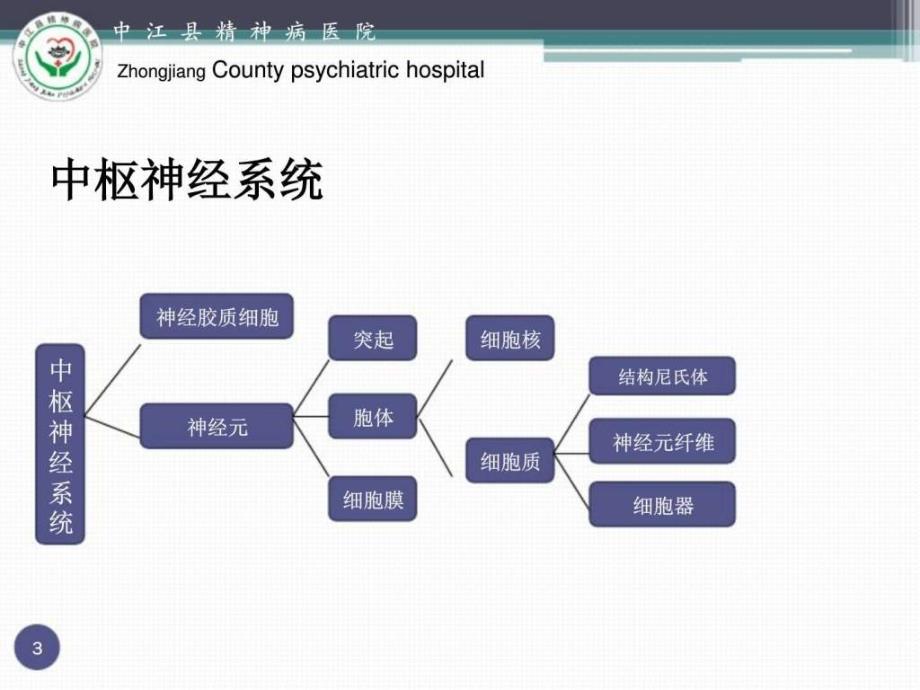 课件：喻东山讲精神药理笔记-多巴胺通路与精神病效应_第3页