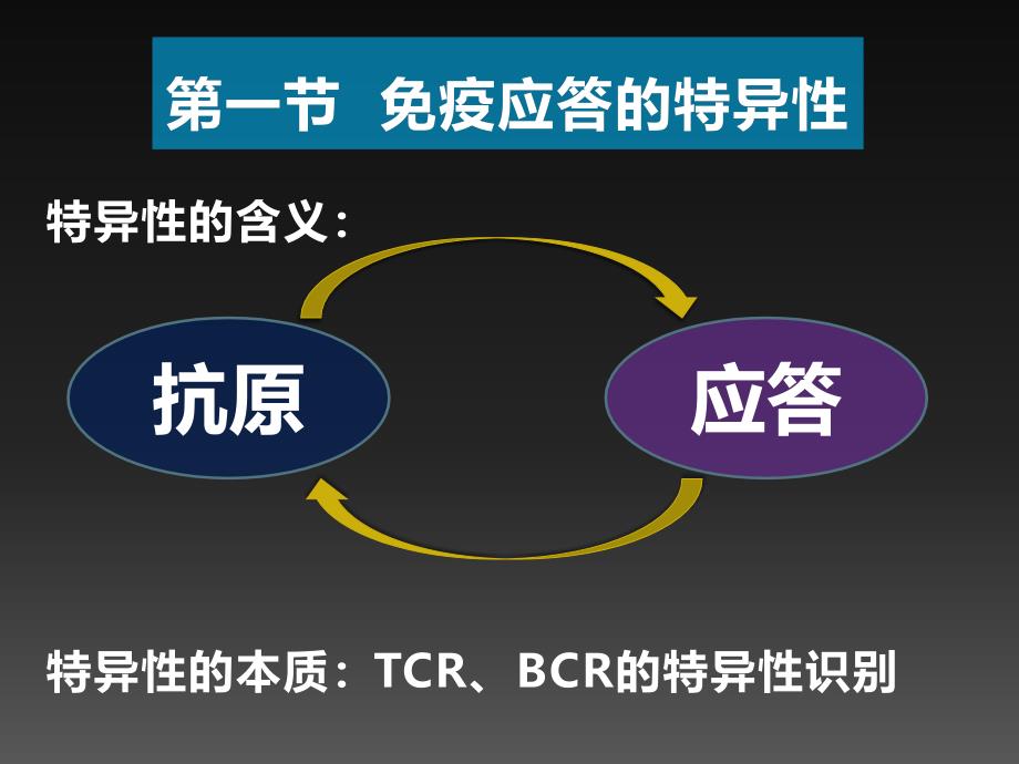 课件：医学免疫学精品课件（南方医科大学）适应性免疫应答的特点及其机制_第3页