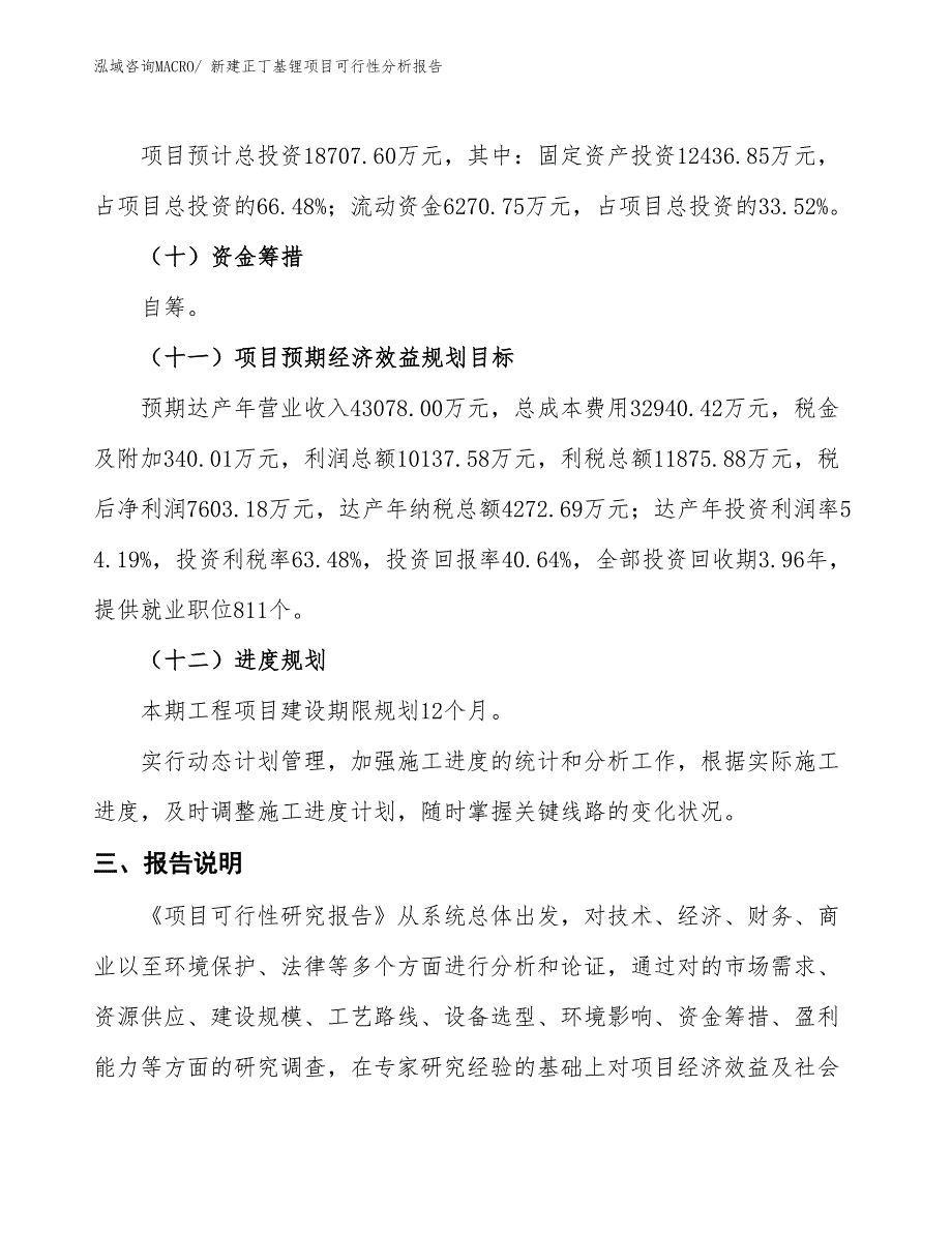 新建正丁基锂项目可行性分析报告_第4页