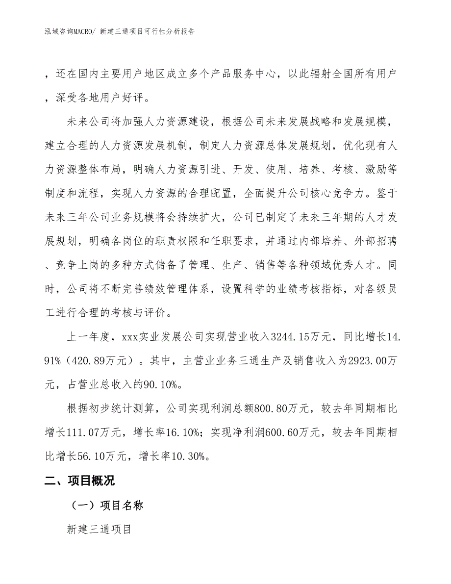 新建三通项目可行性分析报告_第2页