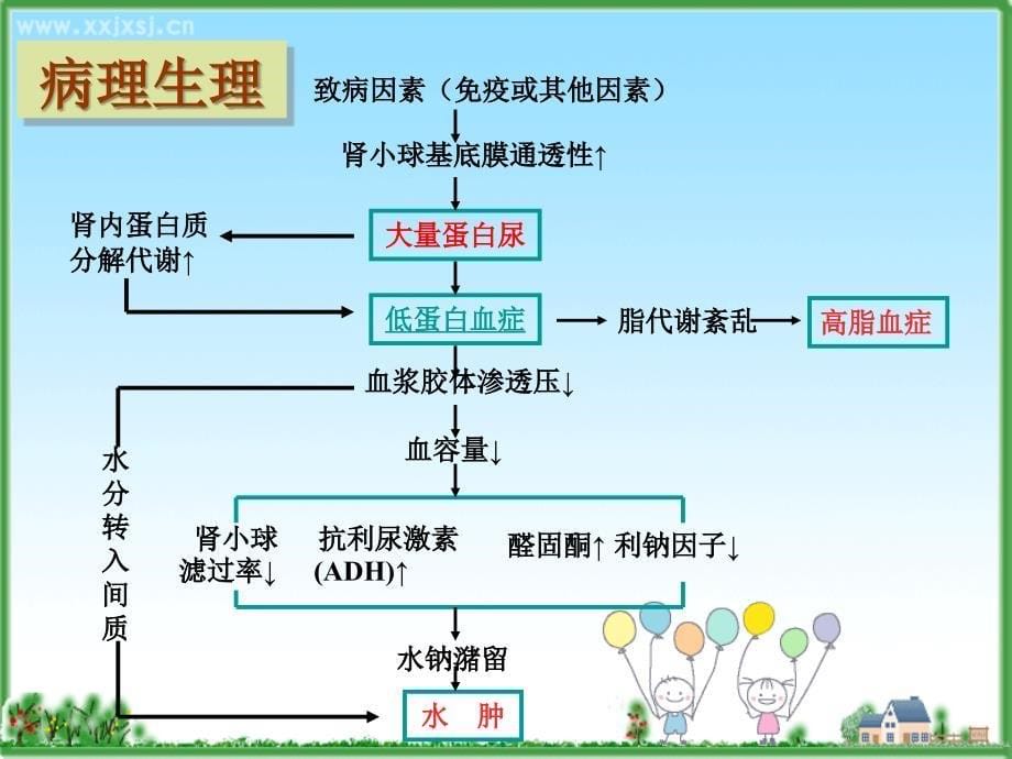 课件：肾病综合症儿科护理_第5页