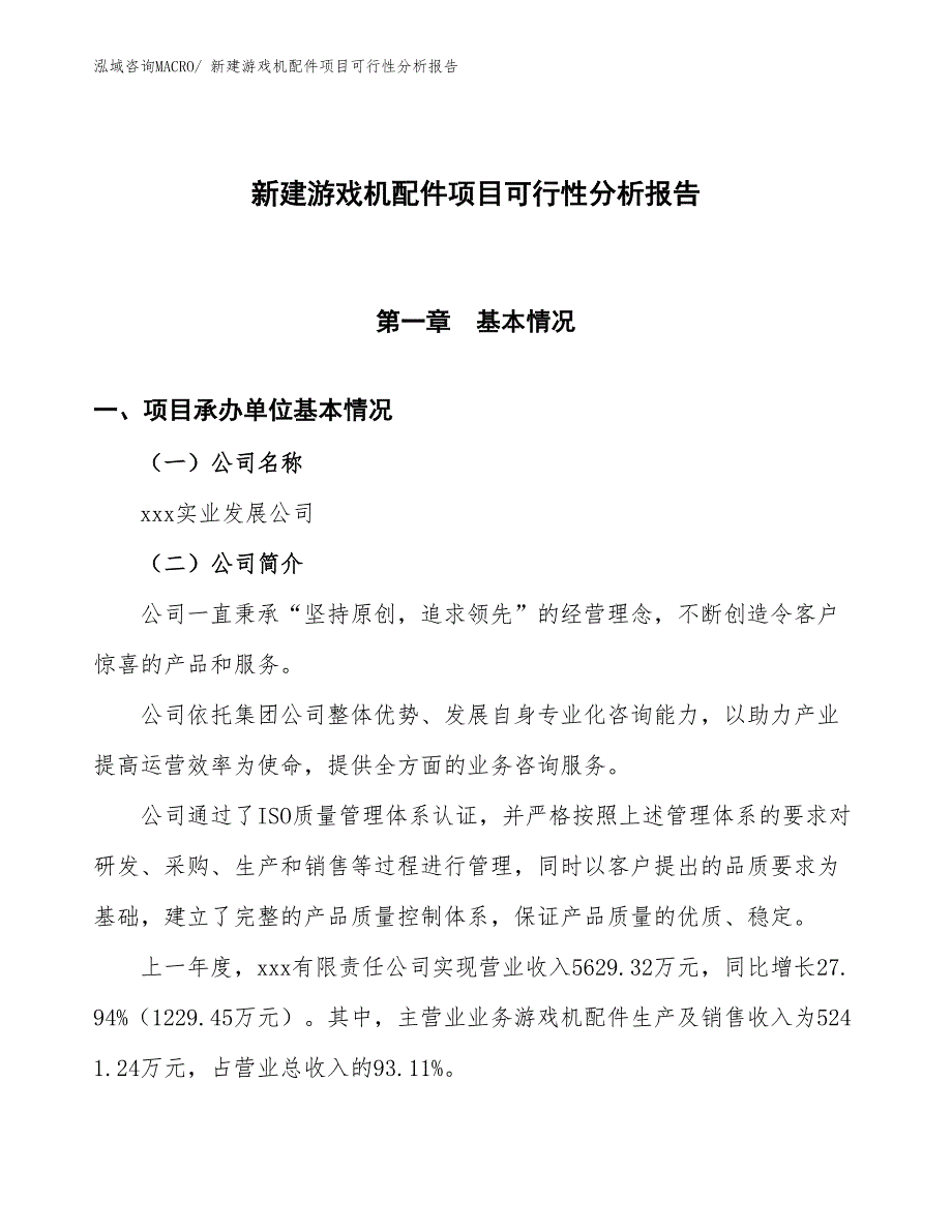 新建游戏机配件项目可行性分析报告_第1页