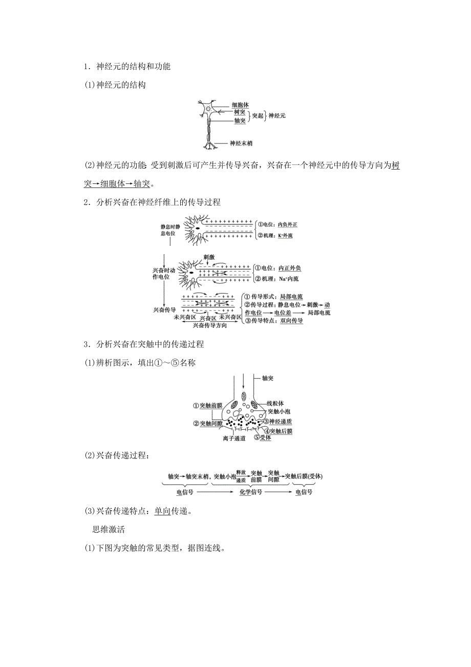 （山东专用）2015年高考生物 第一单元第2讲 通过神经系统的调节教学案 新人教版必修3_第5页