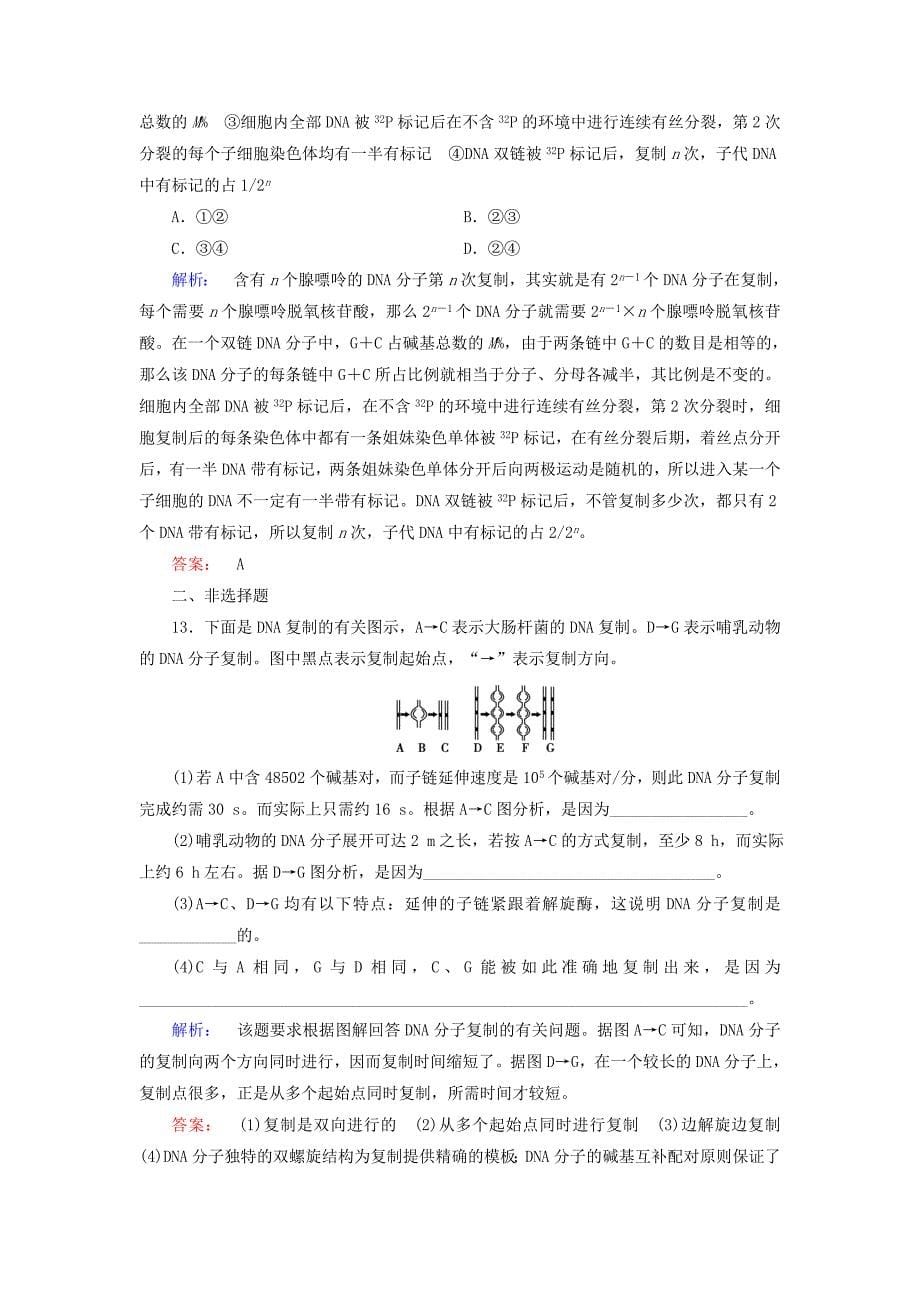 2014-2015学年高中生物 第3章 第3节 dna的复制配套练习 新人教版必修2_第5页