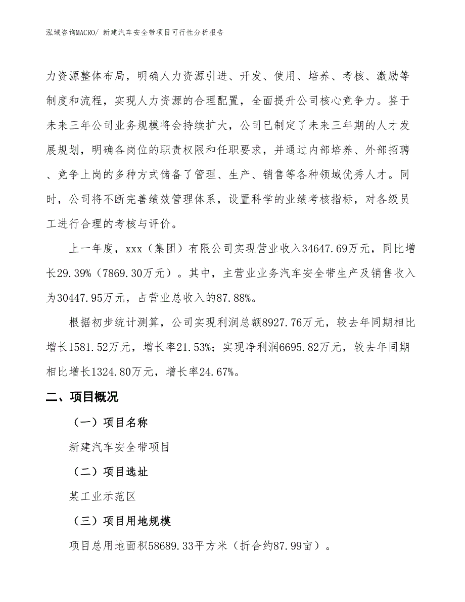 新建汽车安全带项目可行性分析报告_第2页