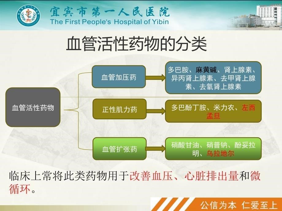 课件：围术期血管活性药物的应用_第5页