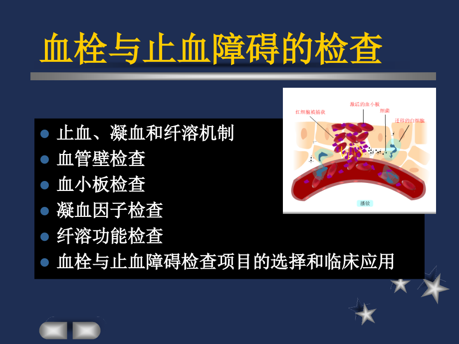 课件：实验诊断学课件 出血、血栓与止血障碍的检查_第2页