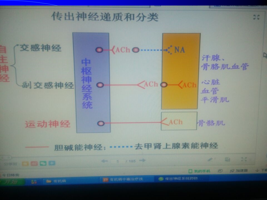 课件：有机磷中毒治疗浅析 (1)_第2页