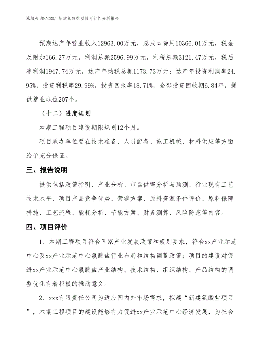 新建氯酸盐项目可行性分析报告_第4页