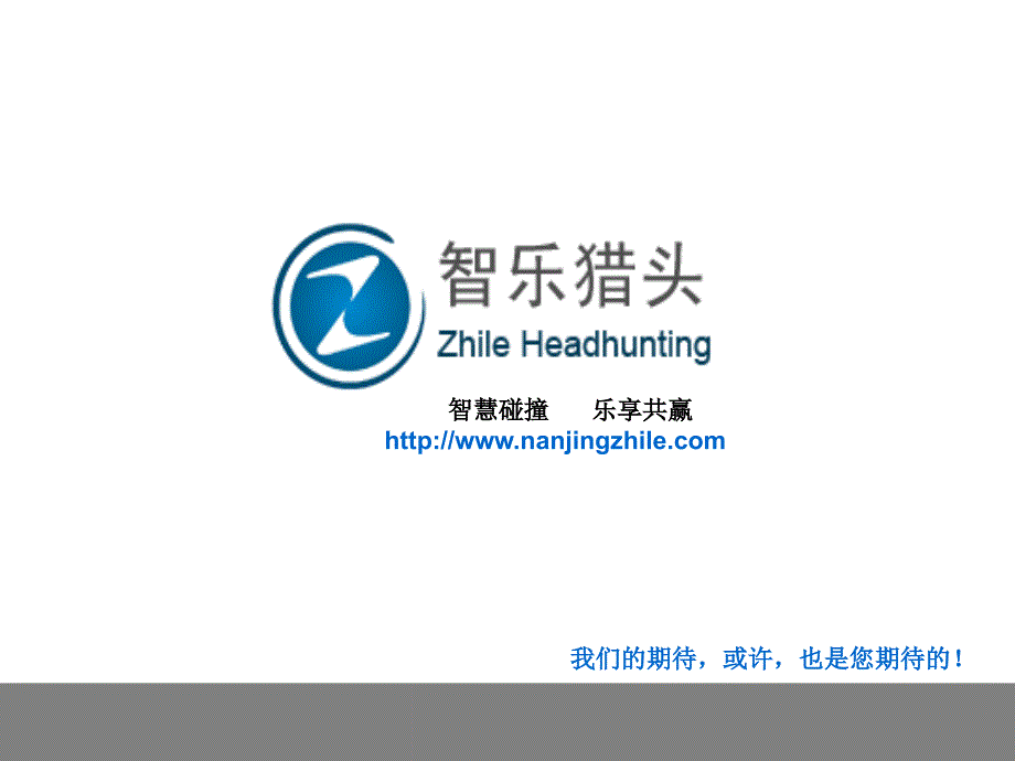南京智乐企业管理咨询有限公司猎头业务介绍_第2页