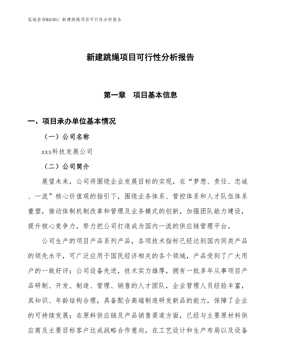 新建跳绳项目可行性分析报告_第1页