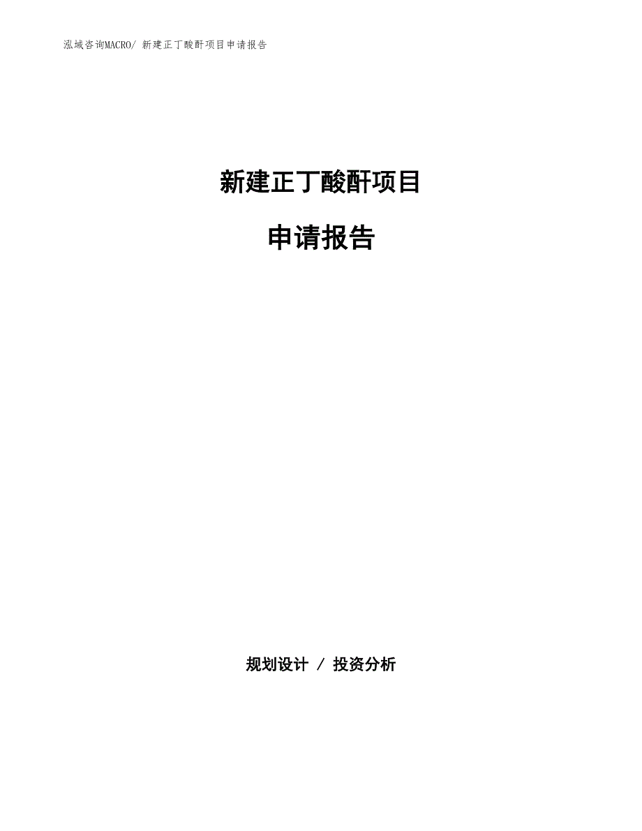 新建正丁酸酐项目申请报告_第1页