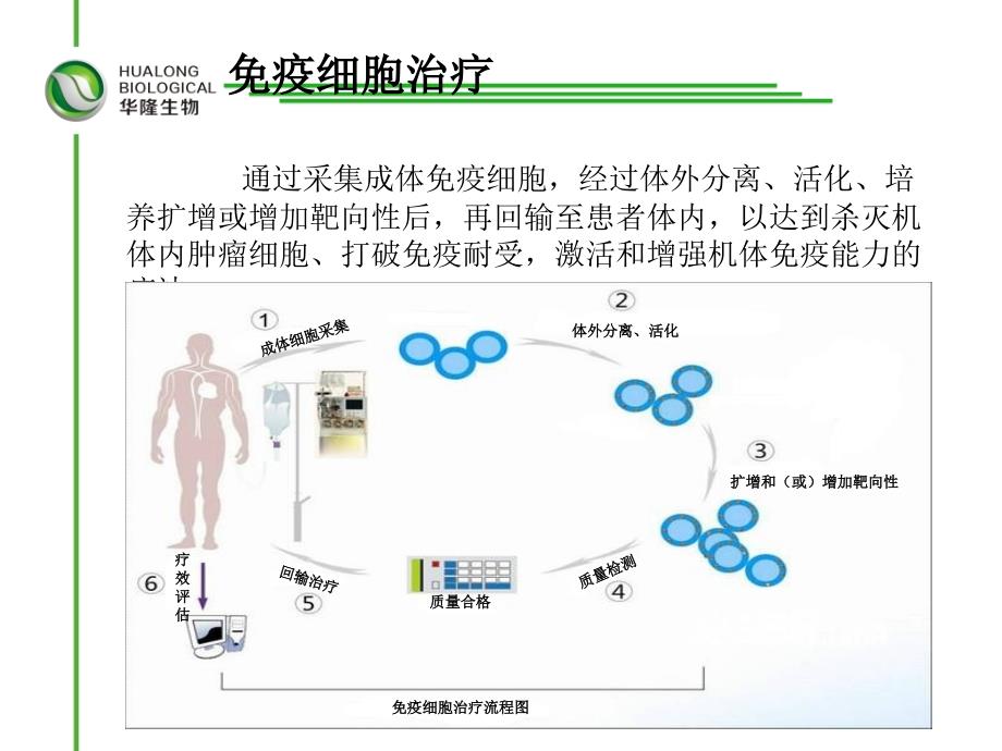 课件：肿瘤免疫细胞治疗临床应用(_流程)_第4页