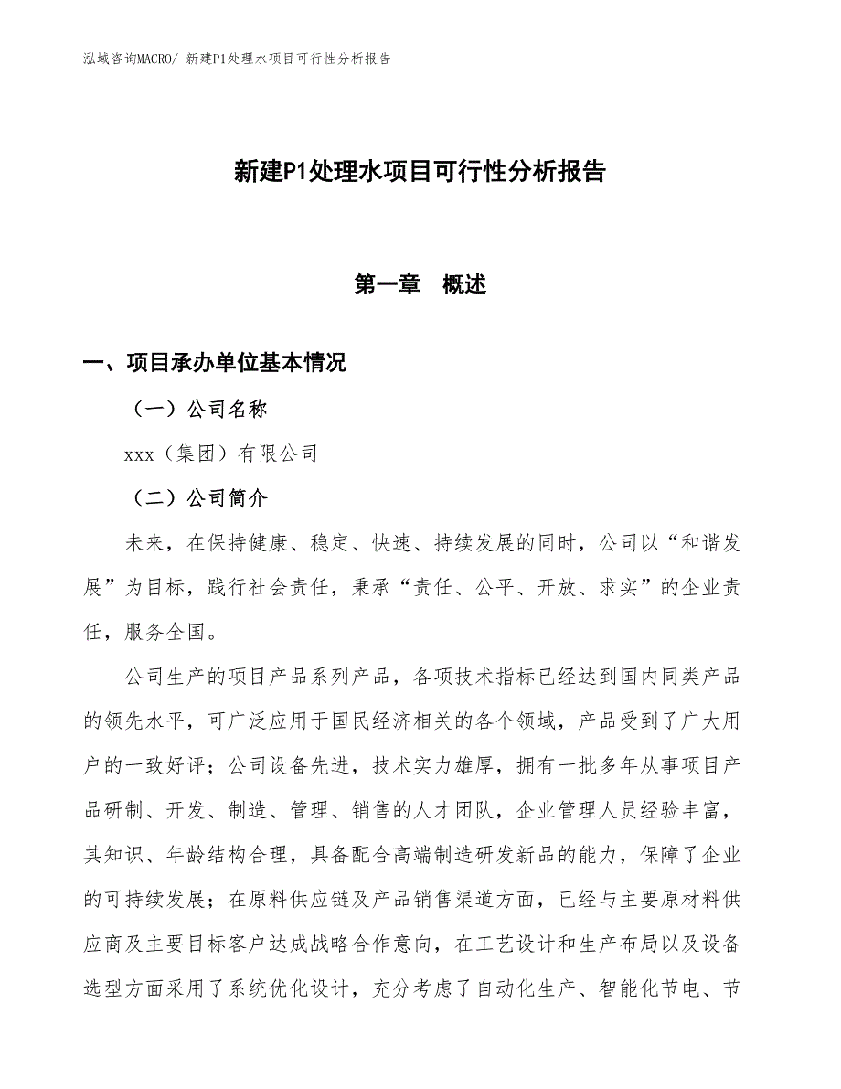 新建P1处理水项目可行性分析报告_第1页