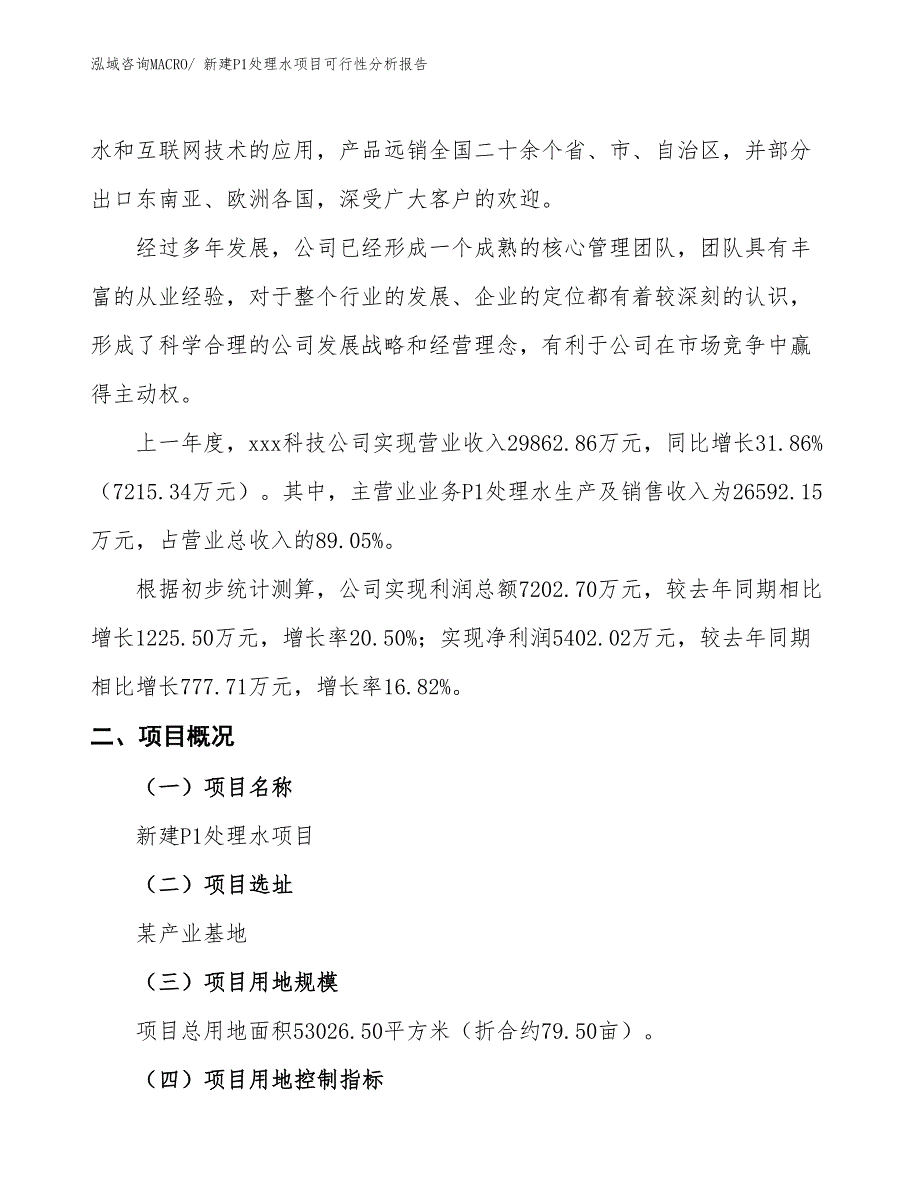 新建P1处理水项目可行性分析报告_第2页