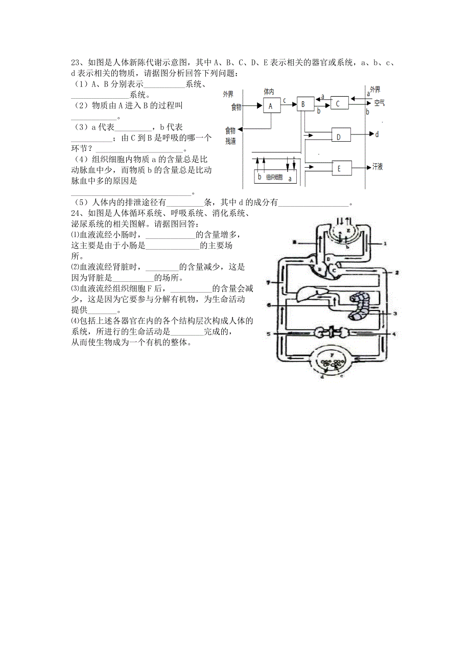 七年级生物下册 第三单元 第四章 人体内废物的排出单元综合测试 济南版_第3页