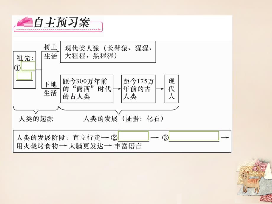 2018年春七年级生物下册 第一章 第一节 人类的起源和发展课堂课件 （新版）新人教版_第4页