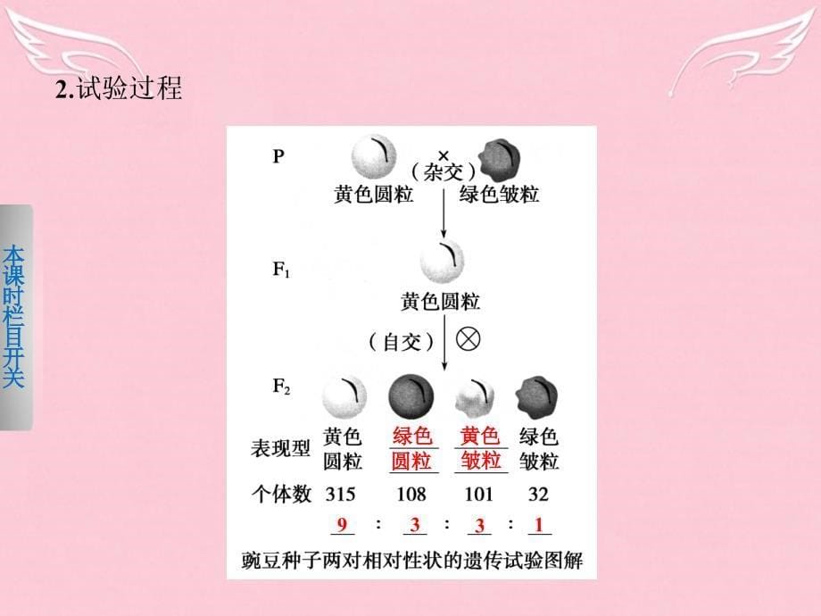 2018-2019学年高中生物 4.2.1 基因的自由组合规律（ⅰ）课件 北师大版必修2_第5页