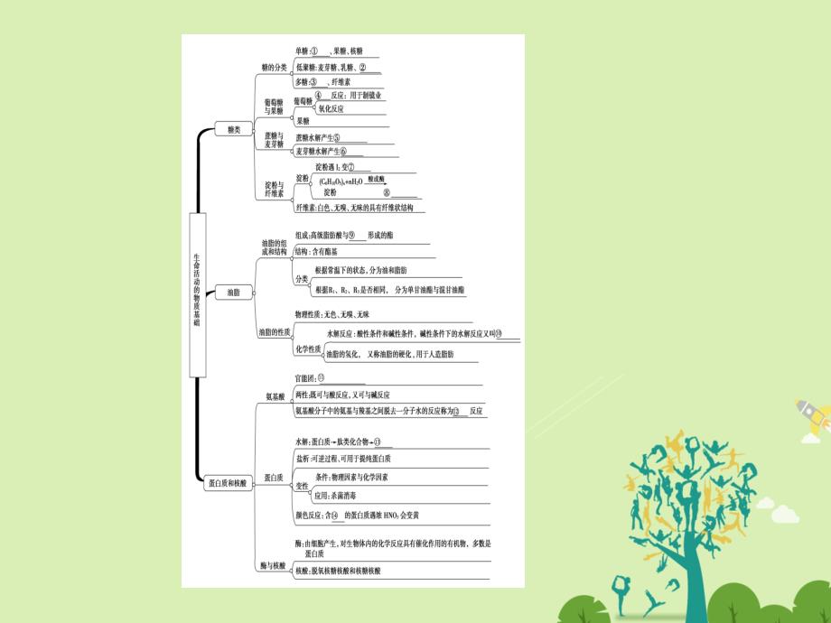 2018-2019学年高中化学专题5生命活动的物质基础专题知识网络构建课件苏教版_第2页