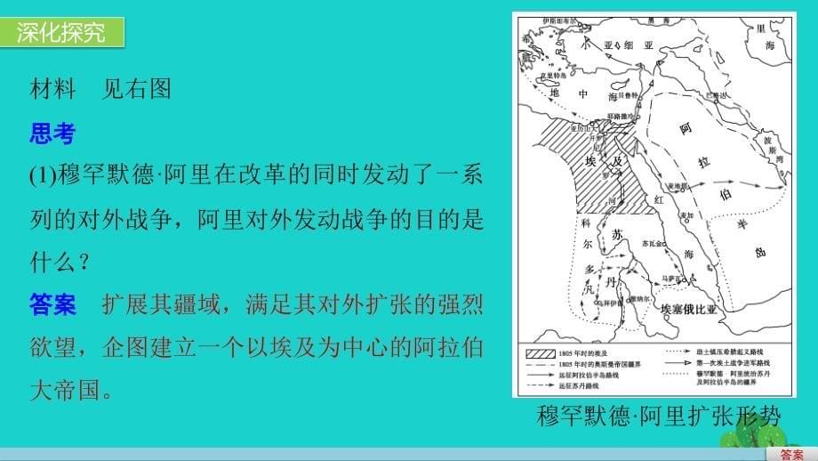 2018-2019学年高中历史 第六单元 穆罕默德阿里改革 3 改革的后果课件 新人教版选修1_第5页