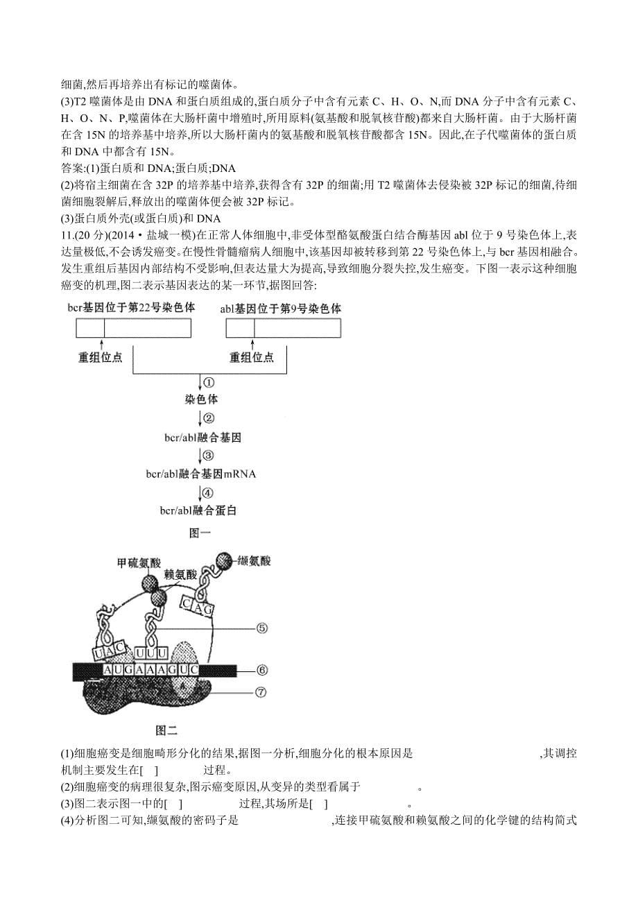 （江苏专用）高考生物二轮复习 4.1遗传的物质基础课时冲关练（六）_第5页