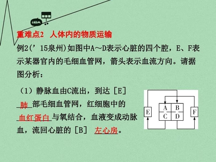 2018届中考生物 第二部分 重点专题突破 专题五 生物圈中的人复习课件 苏教版_第5页