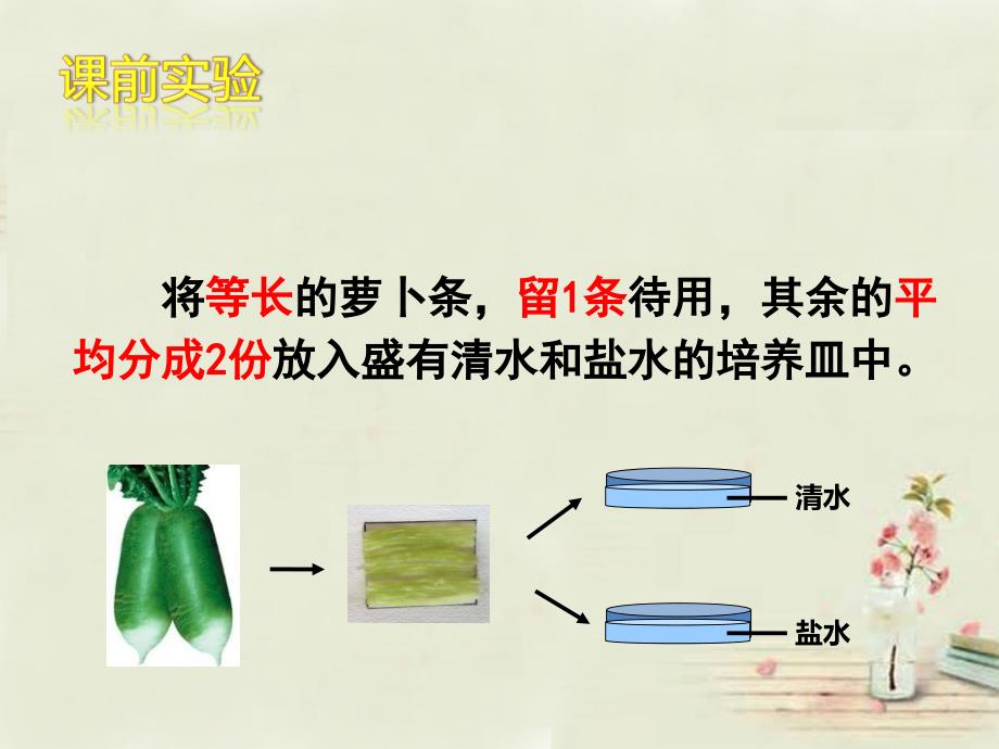 2018-2019八年级生物上册 3.2.2 根对水分的吸收课件（2）（新版）冀教版_第2页