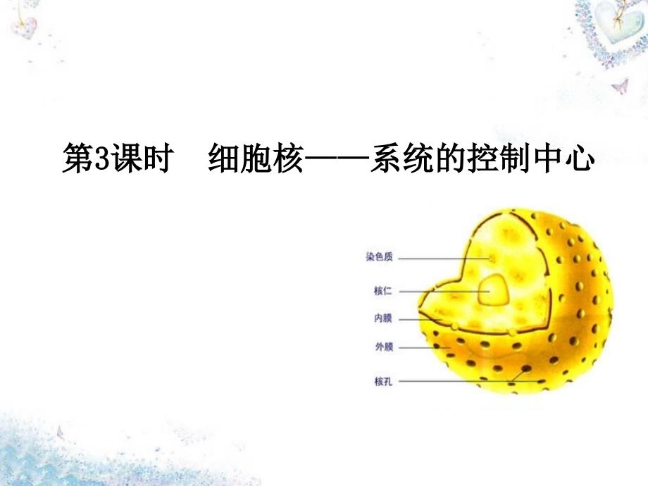 2018-2019学年高中生物 第3章 第3节 细胞核-系统的控制中心课件 新人教版必修1_第1页