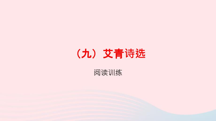 浙江省嘉兴市秀洲区高照实验学校中考语文总复习（九）艾青诗选课件_第1页