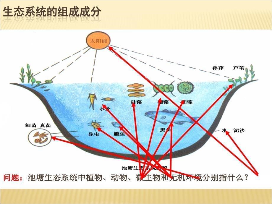 2018-2019学年高中生物 5.1生态系统的结构同课异构课件 新人教版必修3_第5页