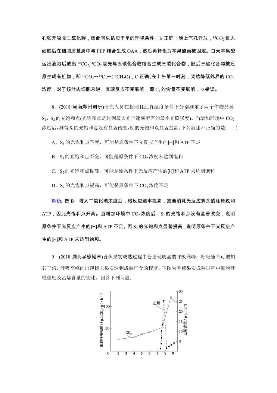 2019届高三生物二轮复习专题强化训练（四）光合作用与细胞呼吸 word版含解析_第5页