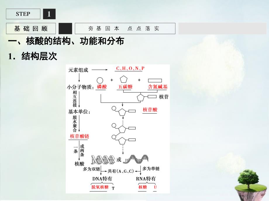 2018届高考生物一轮复习 第1单元 基础课时案4 核酸、糖类和脂质课件 新人教版必修1_第3页