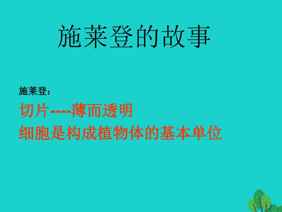 七年级生物上册 2.3.1 植物细胞的结构和功能课件 苏教版_第2页