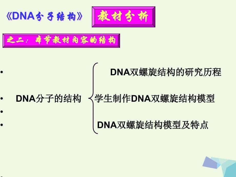 内蒙古乌审旗无定河镇河南学校高中生物 3.2 dna分子的结构说课课件 新人教版必修2_第5页