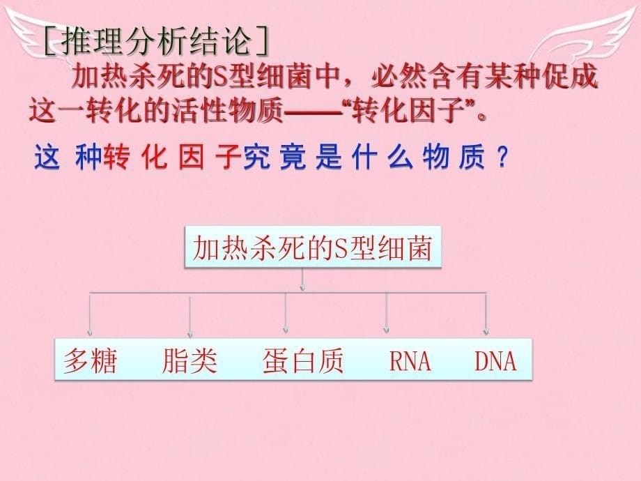 高中生物 2 3.1dna是主要的遗传物质课件 新人教版必修2_第5页