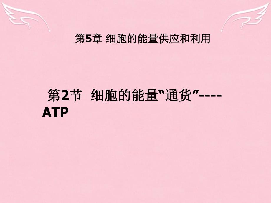 广东省东莞市十中高中生物 5.2《细胞的能量“通货”-atp》课件 新人教版必修1_第1页