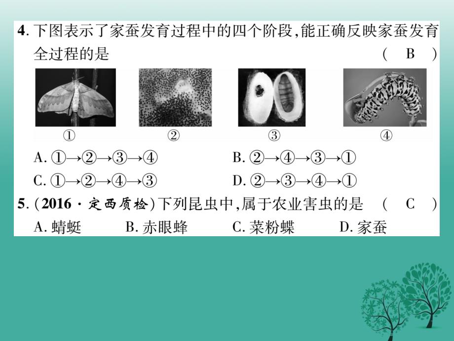 2018年春八年级生物下册 第七单元 第一章 生物的生殖和发育达标课件 （新版）新人教版_第4页