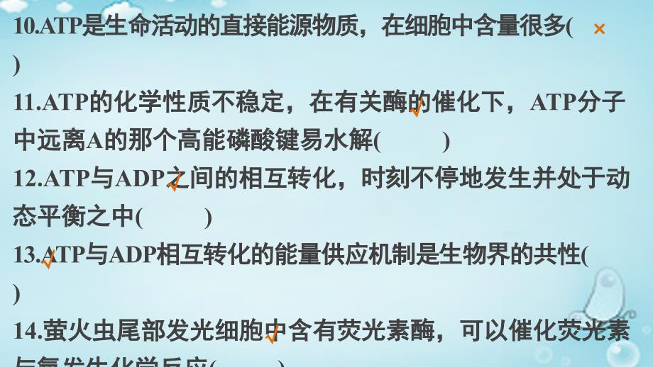 2018年高三生物第二轮复习 第二篇 考点三 物质的跨膜运输、酶和atp课件 新人教版_第4页