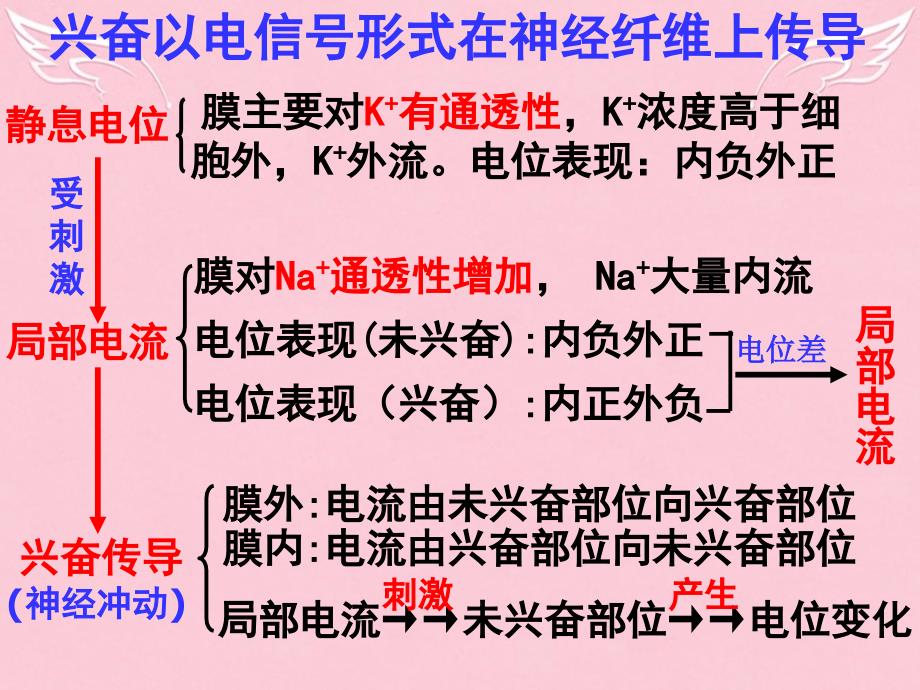 2018高中生物 2.1.2通过神经系统的调节课件 新人教版必修3_第4页