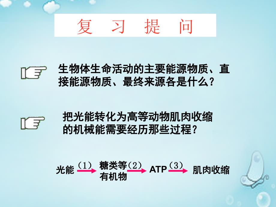 2018-2019高中生物 5.3atp的主要来源-细胞呼吸课件 新人教版必修1_第2页