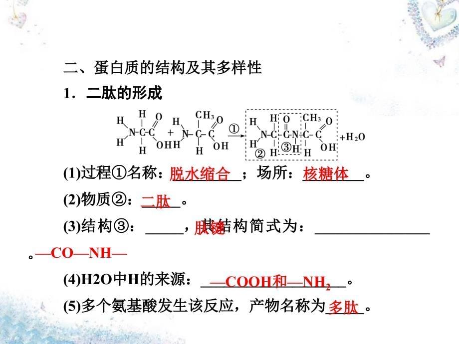 2018届高考生物第一轮复习 第一单元 第3讲 生命活动的主要承担者-蛋白质课件 新人教版必修1_第5页