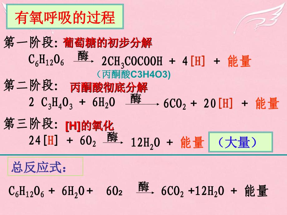 高中生物 5.3细胞呼吸（第2课时）课件 新人教版必修1_第3页