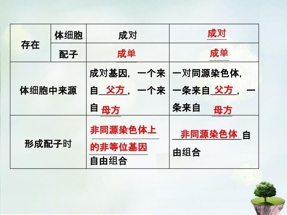 2018届高考生物一轮复习 第1单元 基础课时案16 基因在染色体上、伴性遗传课件 新人教版必修2_第5页