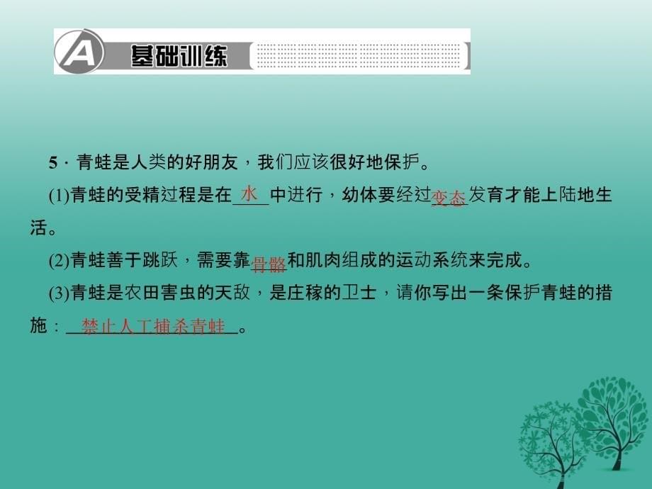 2018春八年级生物下册第七单元第一章第三节两栖动物的生殖和发育课件新版新人教版_第5页