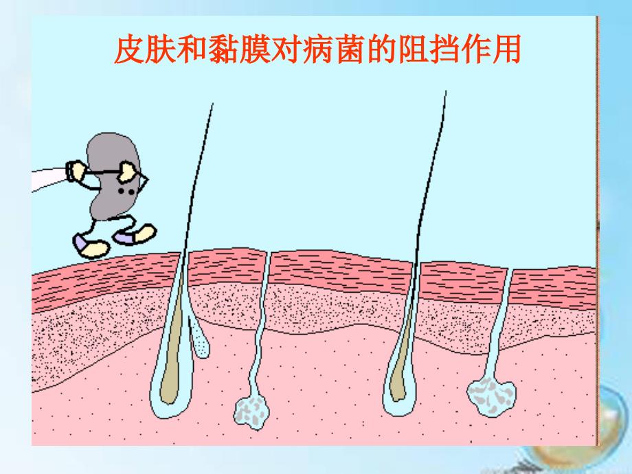 高中生物 2.4免疫调节课件 新人教版必修3_第4页