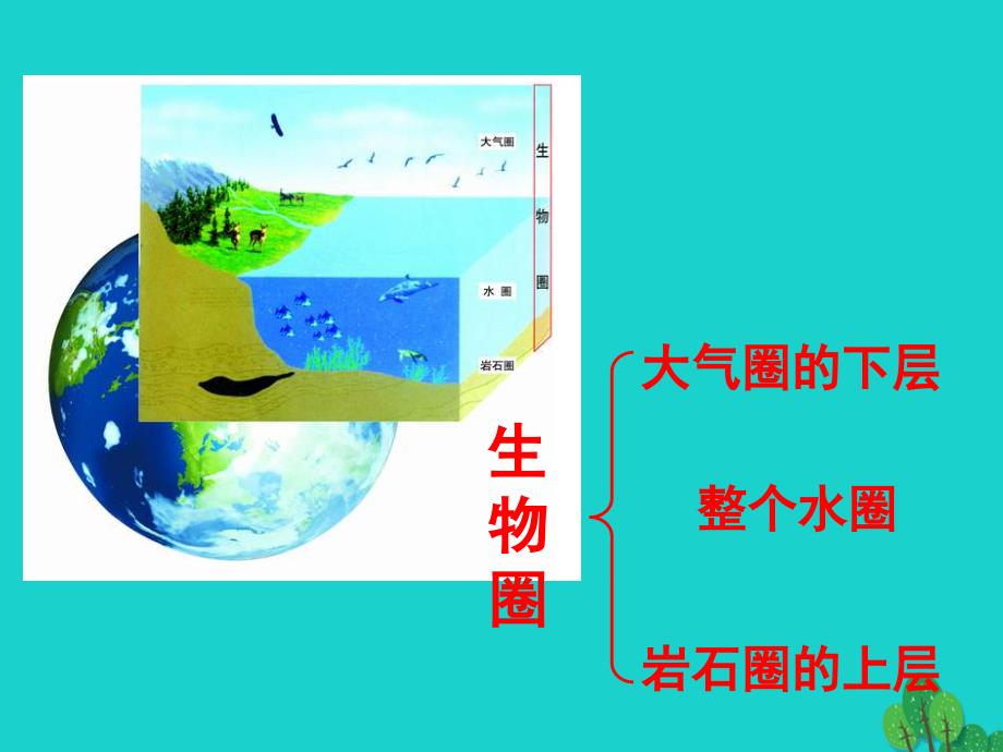 七年级生物上册 1.1.2 生物的生活环境课件 （新版）济南版_第2页