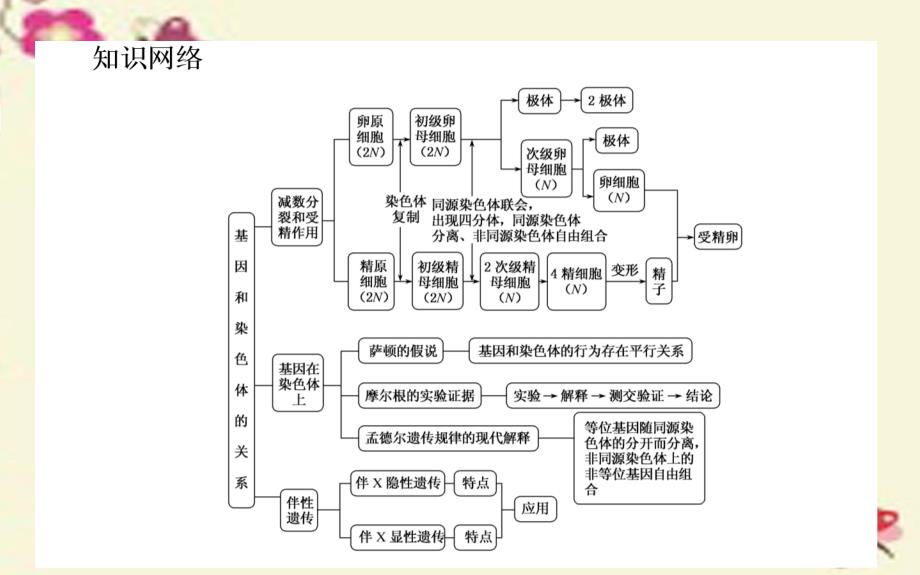 2018-2019高中生物 第2章《基因和染色体的关系》章末总结课件 新人教版必修2_第2页