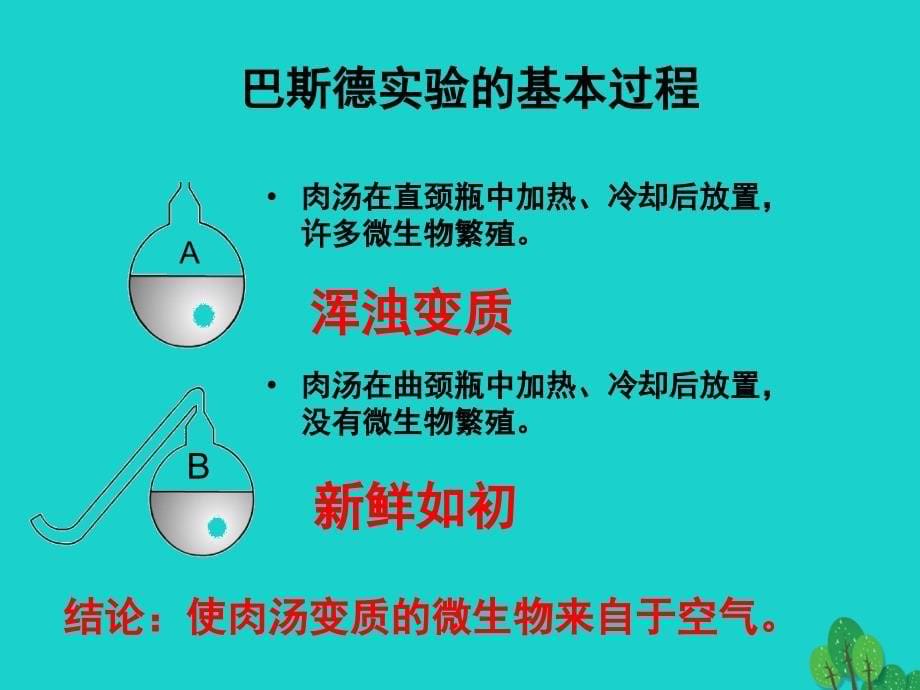 七年级生物上册 1.1.3 生物学的探究方法课件 （新版）济南版_第5页